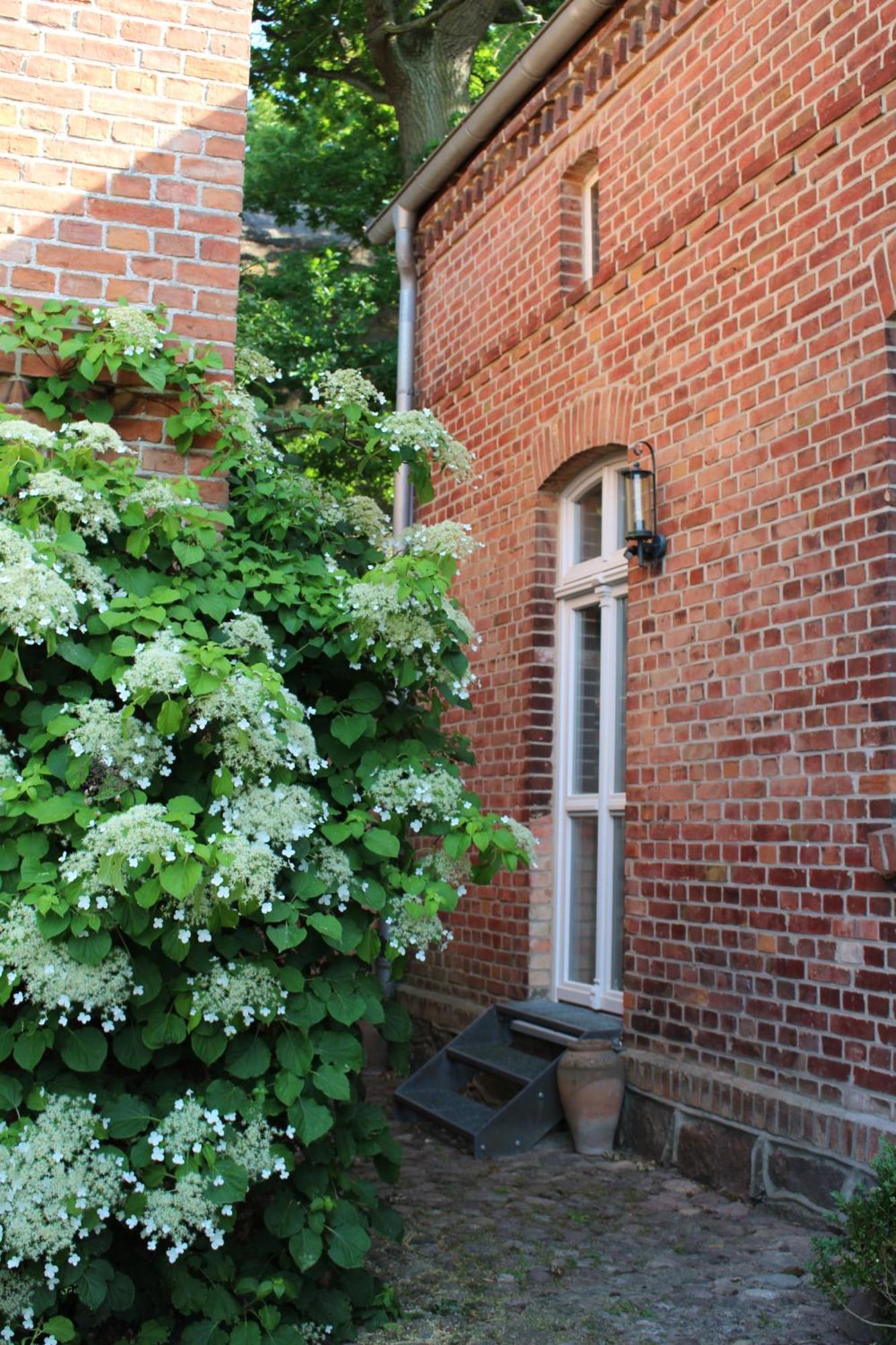 Ferienwohnung Buchholz Buchholz  エクステリア 写真